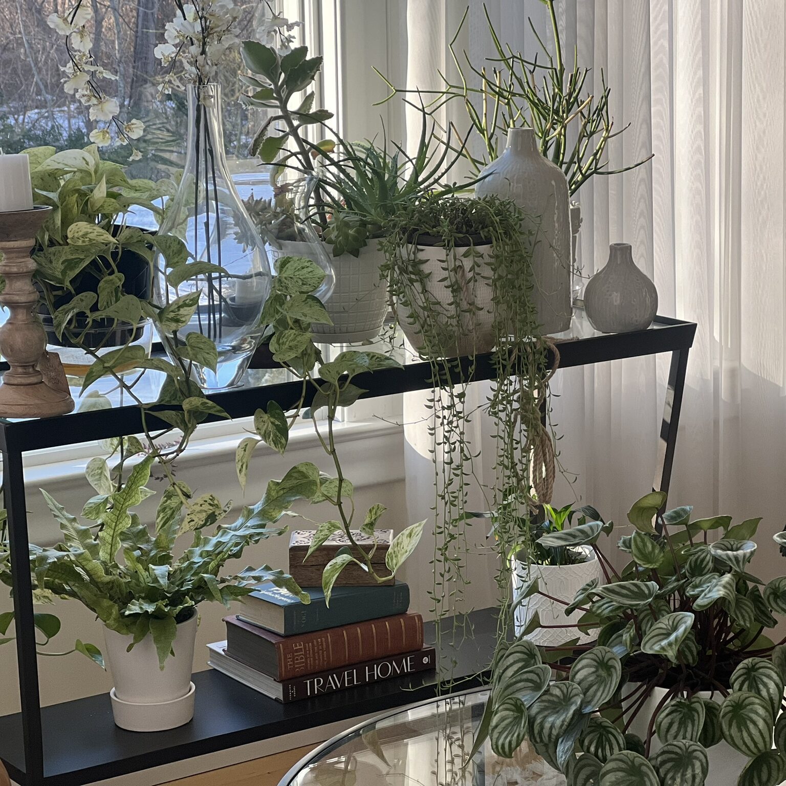 Heart & Wellness 🤍